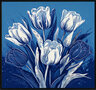 Tulpen