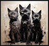 Katten